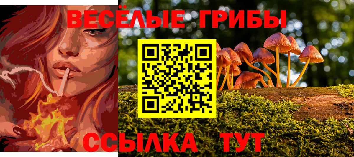 Псилоцибиновые грибы Magic Shrooms Советск