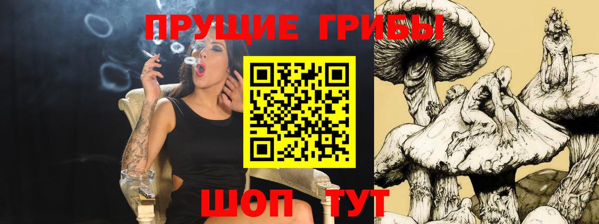 Псилоцибиновые грибы Psilocybe  Вход с VPN  Советск  Галлюциногенные грибы GOLDEN TEACHER 